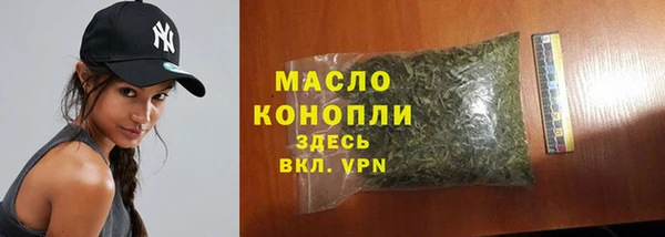 эйфоретик Арсеньев