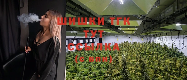 эйфоретик Арсеньев