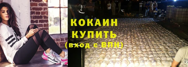 эйфоретик Арсеньев