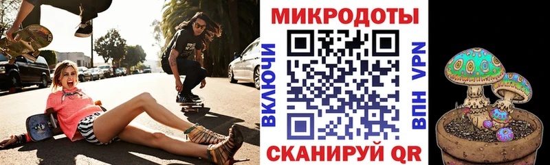 Псилоцибиновые грибы Psilocybe Боготол