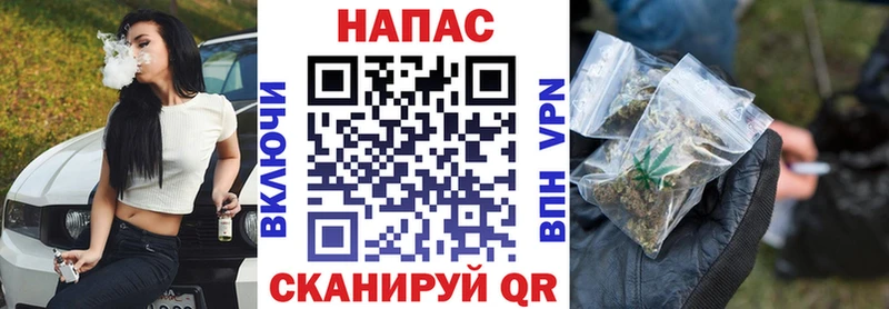 Шишки марихуана ГИДРОПОН  как найти наркотики  Боготол 